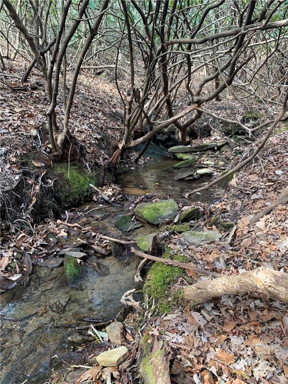 Property image 1 at Tbd Speckled Trout Run, Brevard, NC 28712