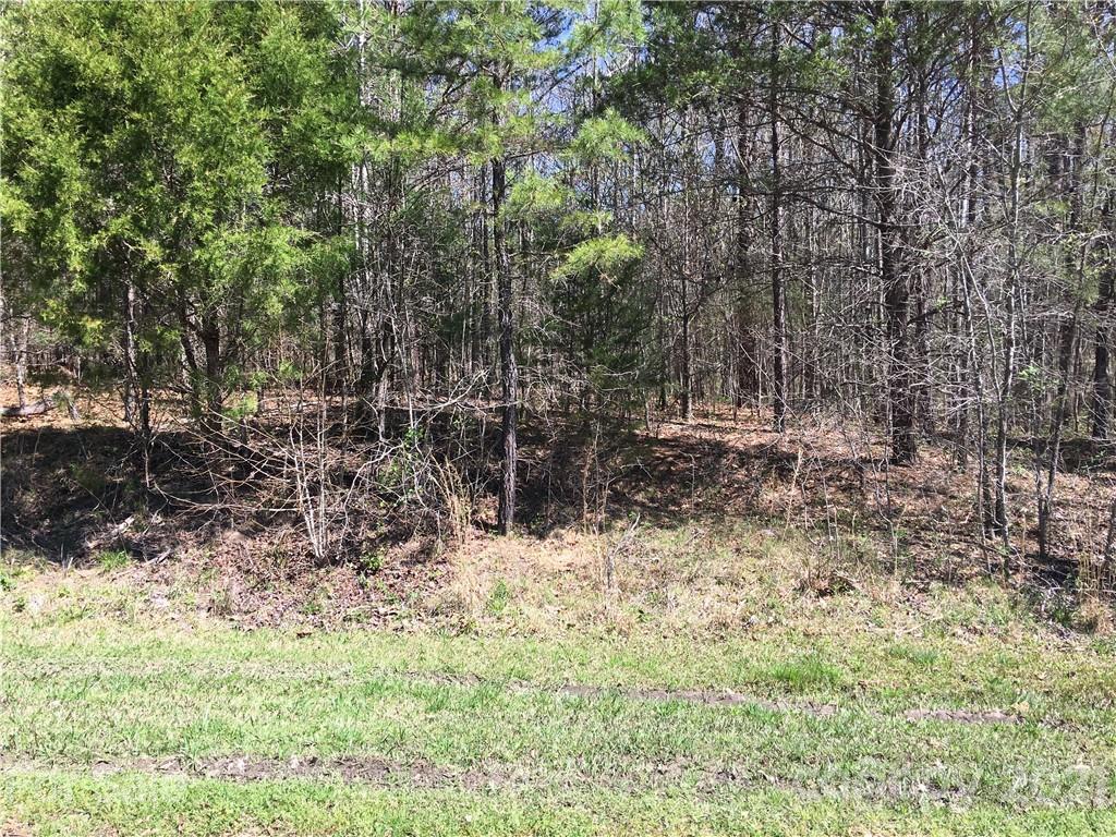 Property image 1 at 2024 Briarwood Circle, Fort Mill, SC 29715