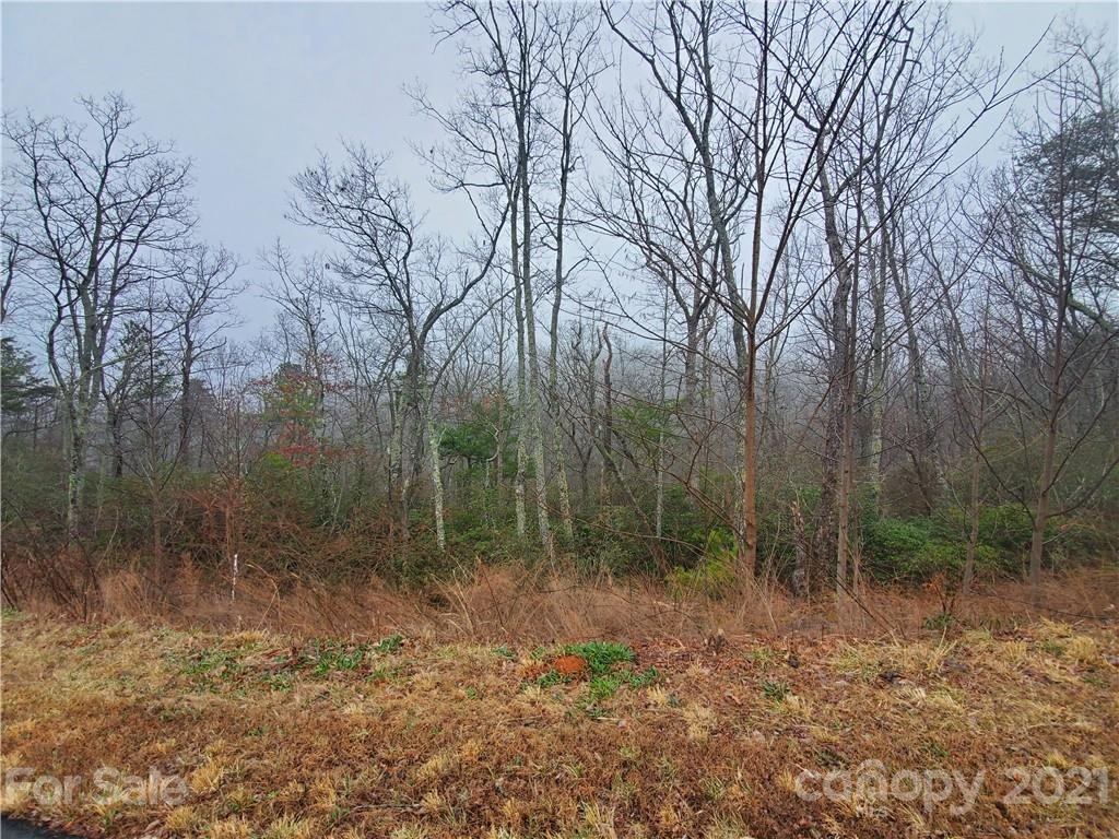 Property image 1 at 0 Bison Meadows, Lake Lure, NC 28711
