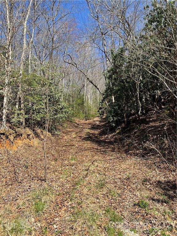 Property image 1 at Lot 43 Moonlight Drive, Bryson City, NC 28713