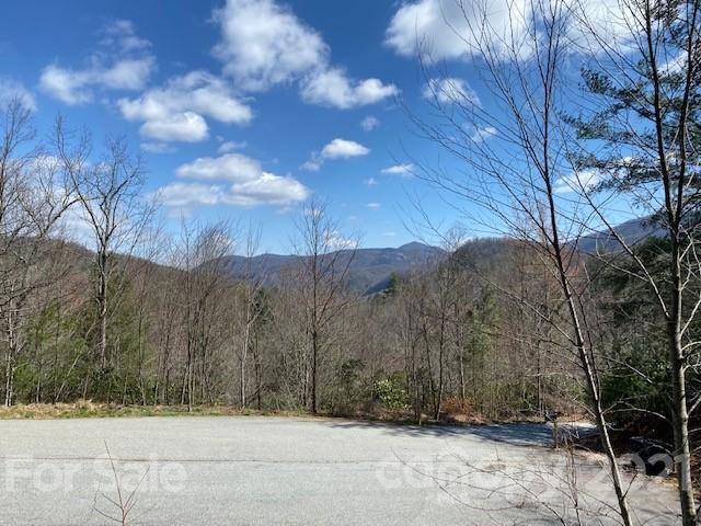 Property image 1 at 102 Emerald Cove Court, Hendersonville, NC 28792