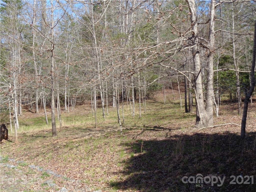 Property image 1 at 566 Highlands Parkway, Nebo, NC 28761
