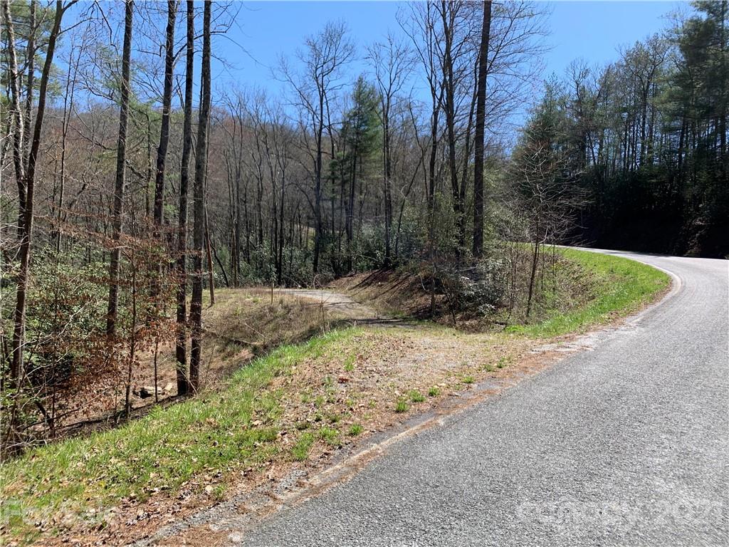 Property image 1 at 208 Gladiola Drive, Pisgah Forest, NC 28768