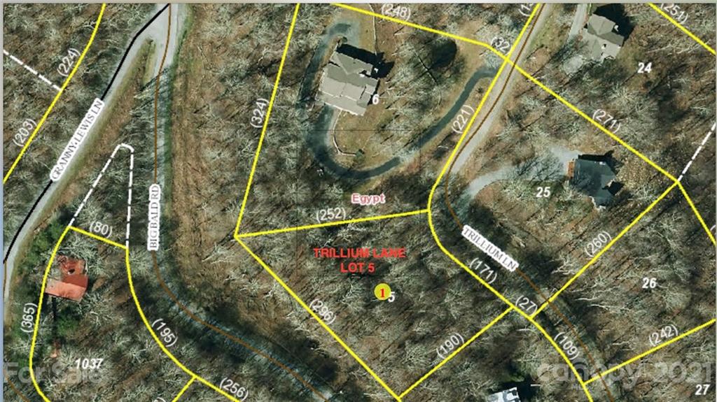 Property image 1 at 5 Trillium Lane, Mars Hill, NC 28754