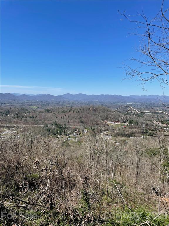 Property image 1 at 99999 Mostert Drive, Asheville, NC 28804