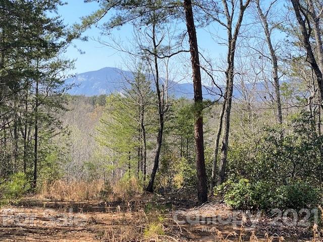 Property image 1 at 0000 Mcowenben Pass, Lake Lure, NC 28746