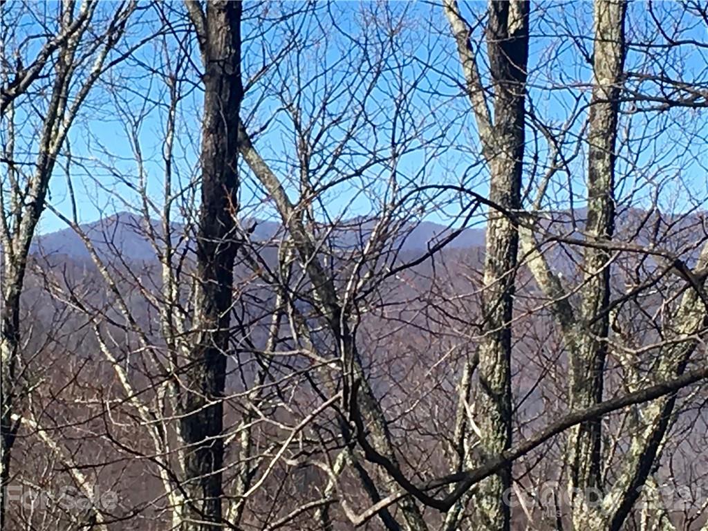 Property image 1 at Lot 15 Wildflower Cove Drive, Swannanoa, NC 28778