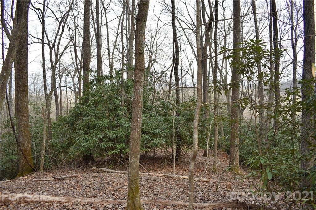 Property image 1 at Tbd Skye Drive, Pisgah Forest, NC 28768