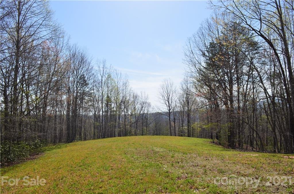 Property image 1 at 999 Fallen Tree Lane, Mill Spring, NC 28756