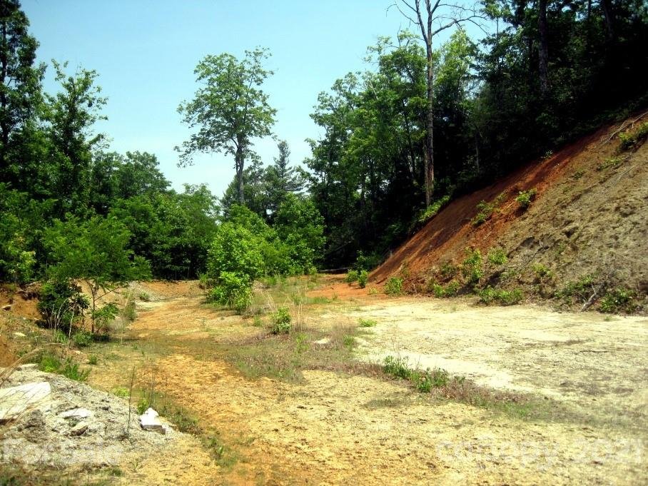 Xxx Forest Park Court