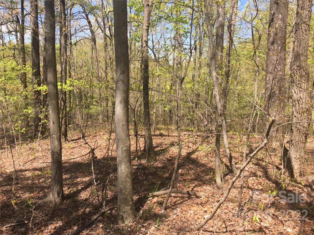 Property image 1 at 0 Pinnacle Parkway, Union Mills, NC 28167