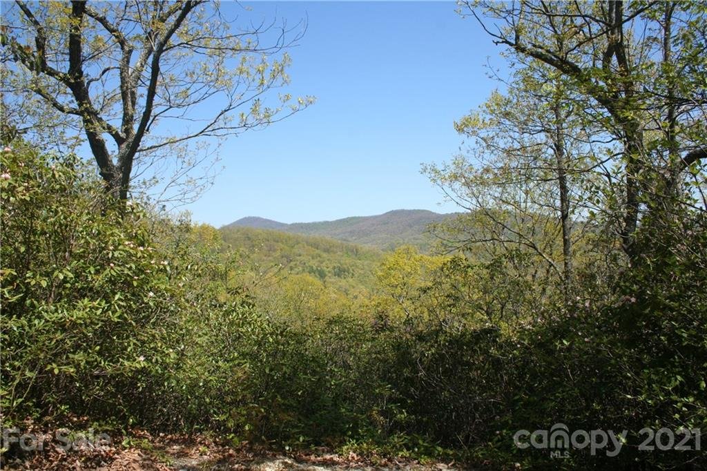 Property image 1 at 9999 Rocky Falls Drive, Black Mountain, NC 28711