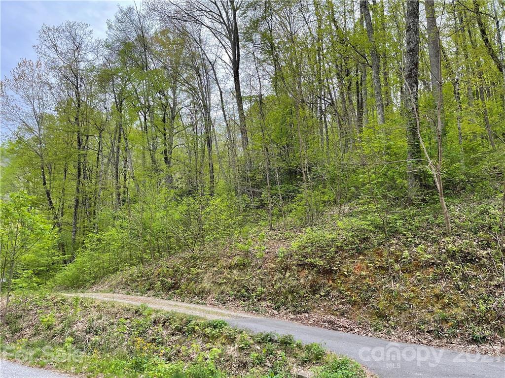 Property image 1 at 1414 Dogwood Drive, Maggie Valley, NC 28751