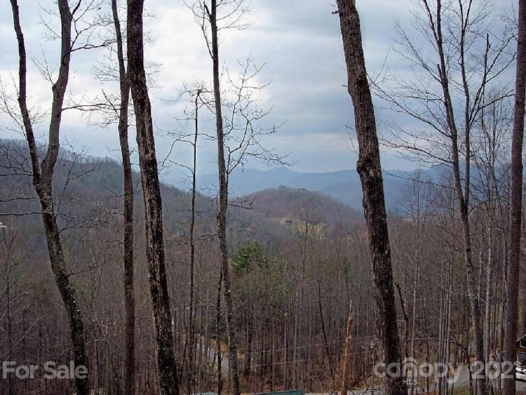 Property image 1 at 1154 Old Tannassie Road, Sylva, NC 28779
