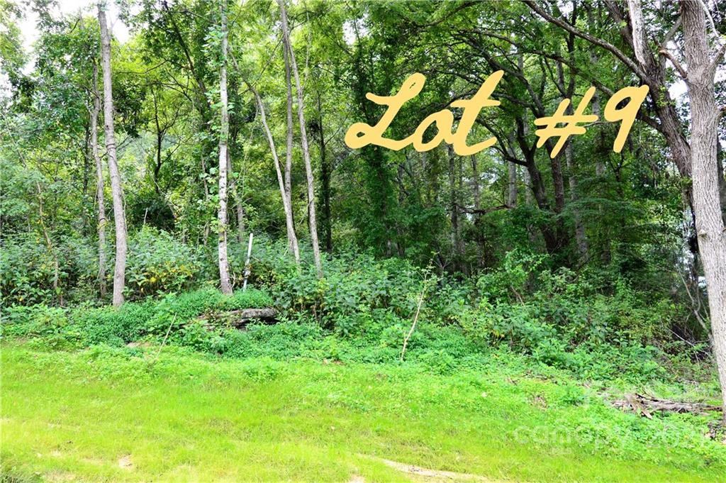 Property image 1 at 203 Fall Leaves Drive, Fairview, NC 28730