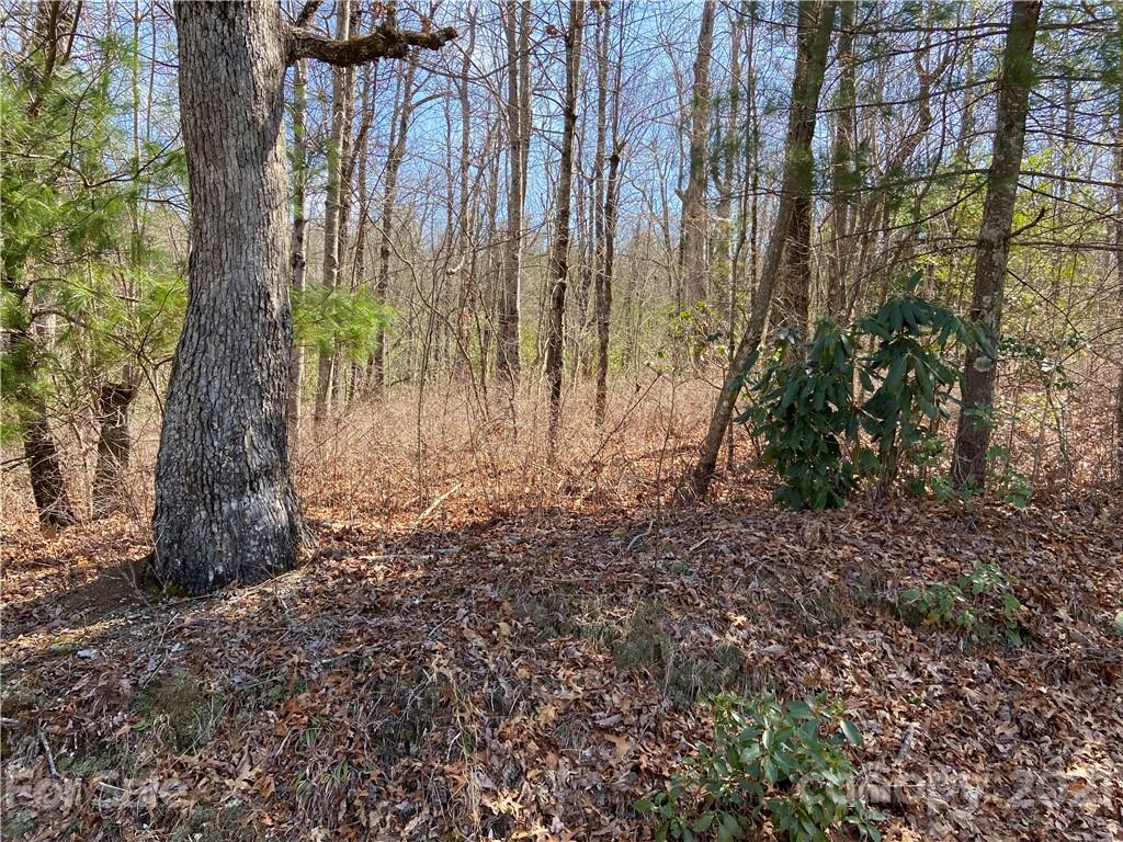 Property image 1 at Lo 38 Panther Run, Brevard, NC 28712