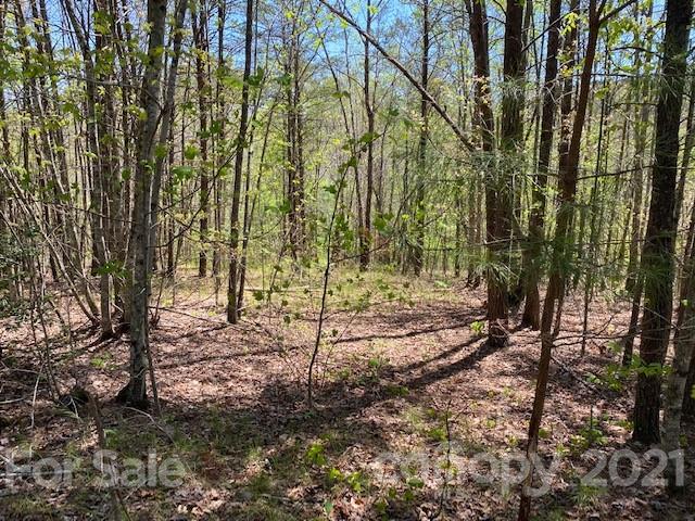 Property image 1 at 0000 S Cross Creek Trail, Mill Spring, NC 28756