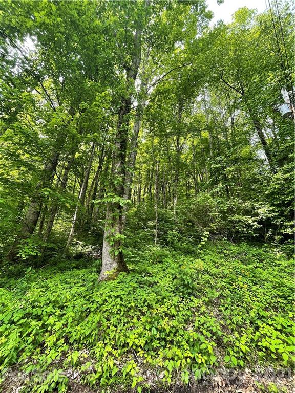 Property image 1 at 00 Calm Creek Road, Waynesville, NC 28785