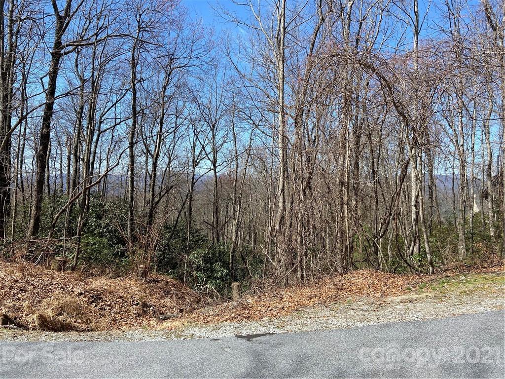 Property image 1 at Lo 39 Panther Run, Brevard, NC 28712