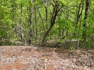 Property image 1 at 1136 Trillium Court, Columbus, NC 28722