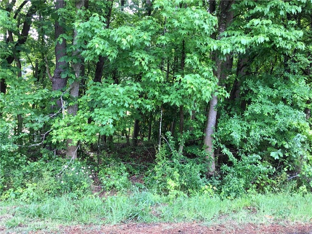 Property image 1 at N A Briarwood Circle, Fort Mill, SC 29715