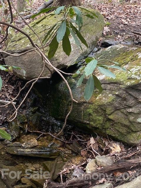 Property image 1 at Lot 58 Lost Panther Road, Brevard, NC 28712