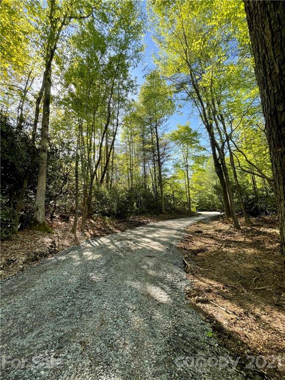 Property image 1 at 1571 Eagle Lake Drive, Brevard, NC 28712