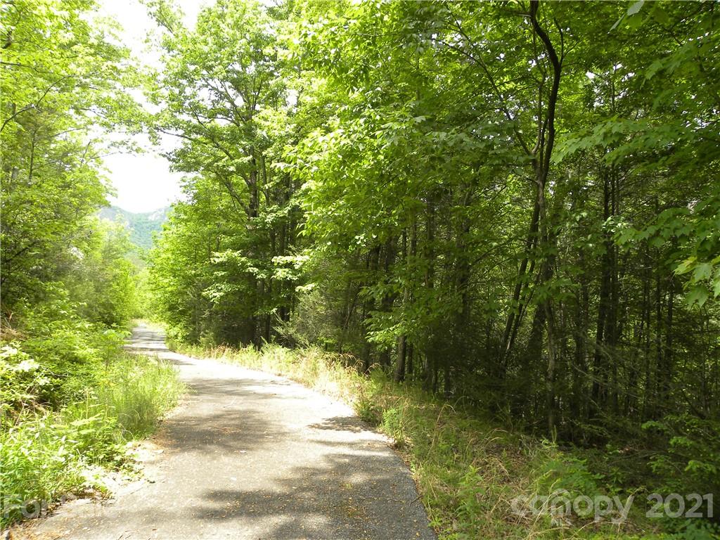 Property image 1 at 126 Kellerman Point, Lake Lure, NC 28746