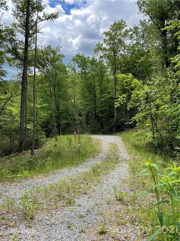 Property image 1 at 208 Gladiola Drive, Pisgah Forest, NC 28768