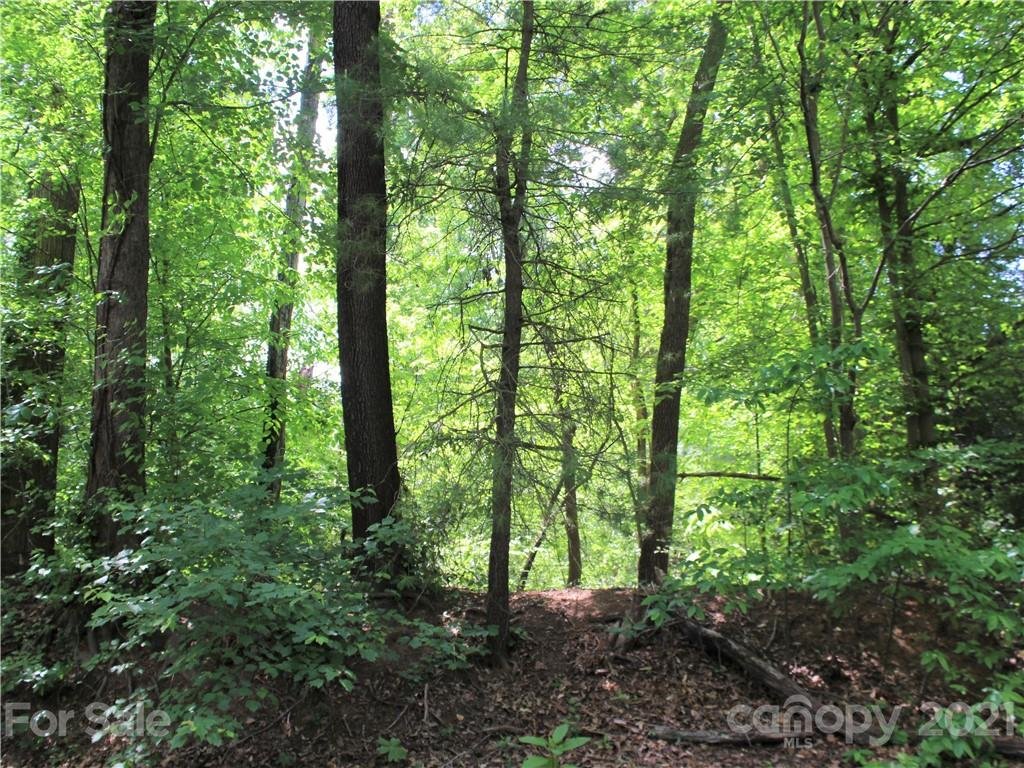 Property image 1 at 9999 Perdue Place, Asheville, NC 28806