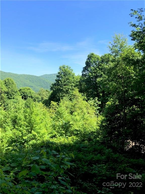 Property image 1 at 572 Slippery Rock Road, Waynesville, NC 28785