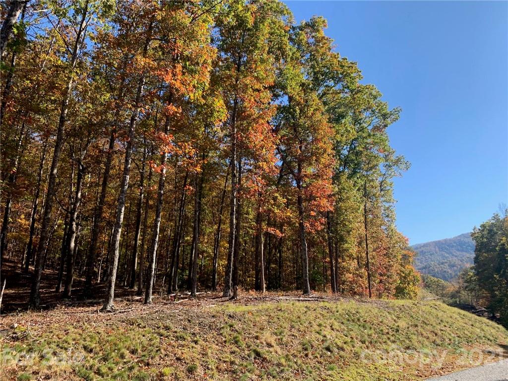 Property image 1 at 4000 French Broad Parkway, Marshall, NC 28753