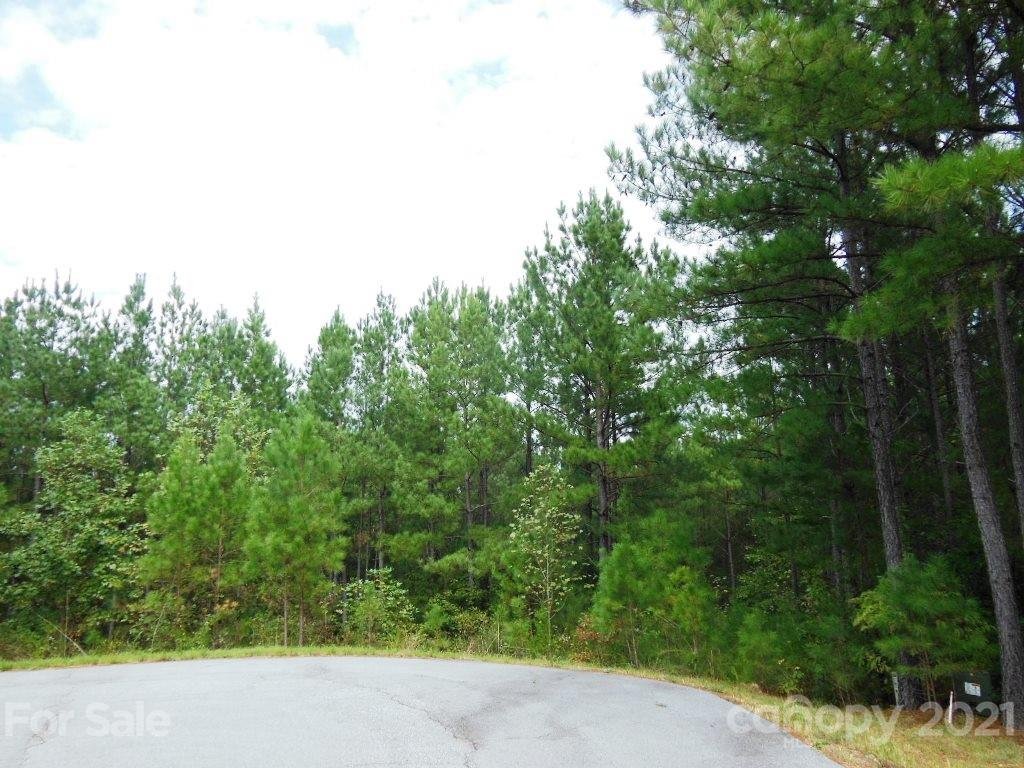 Property image 1 at 5 6 Ashley Court, Mill Spring, NC 28756