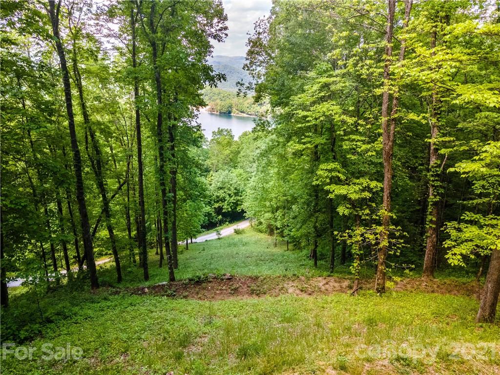 Property image 1 at Lt 11b Von Trapp Lane, Tuckasegee, NC 28783