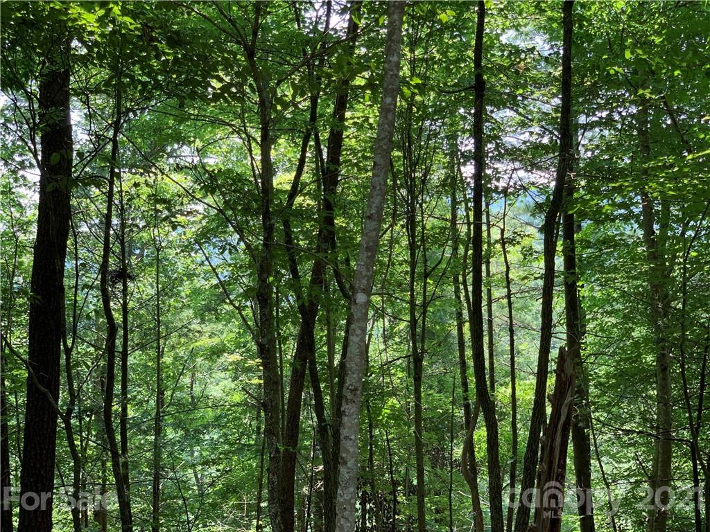 Property image 1 at 240 White Water Way, Marshall, NC 28753