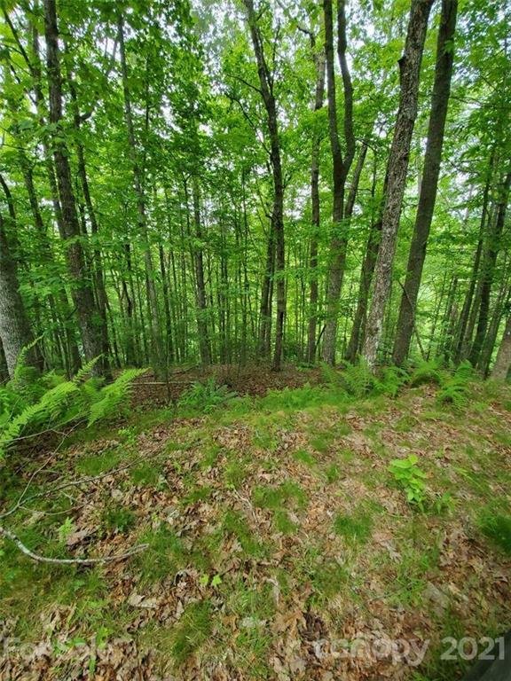 Property at 141 River Club Trail, Marshall, NC 28753