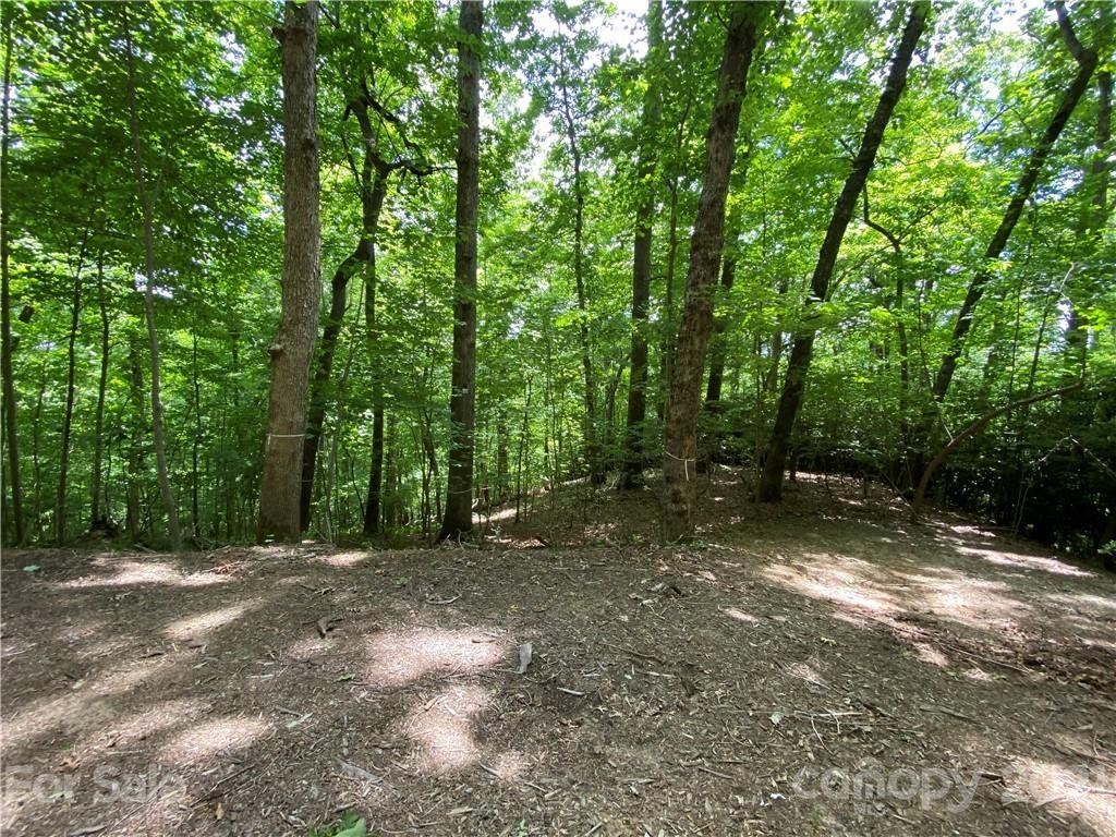 Property image 1 at Lot W13 Curtain Bluff, Hendersonville, NC 28791