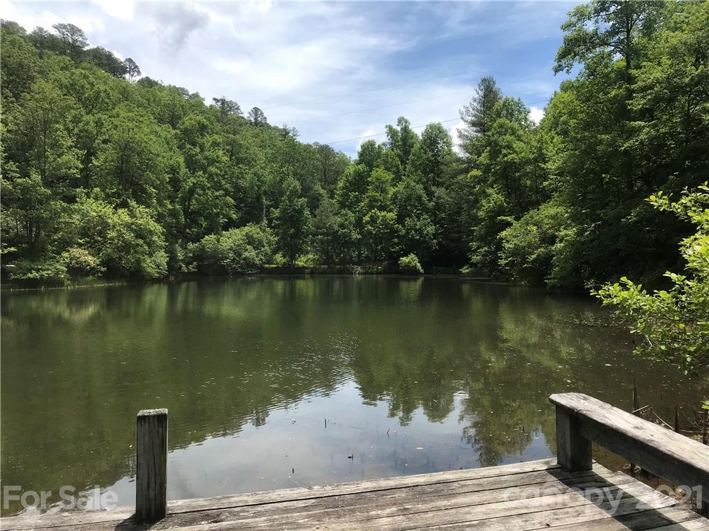 Property image 1 at L342 Severly Lane, Brevard, NC 28712