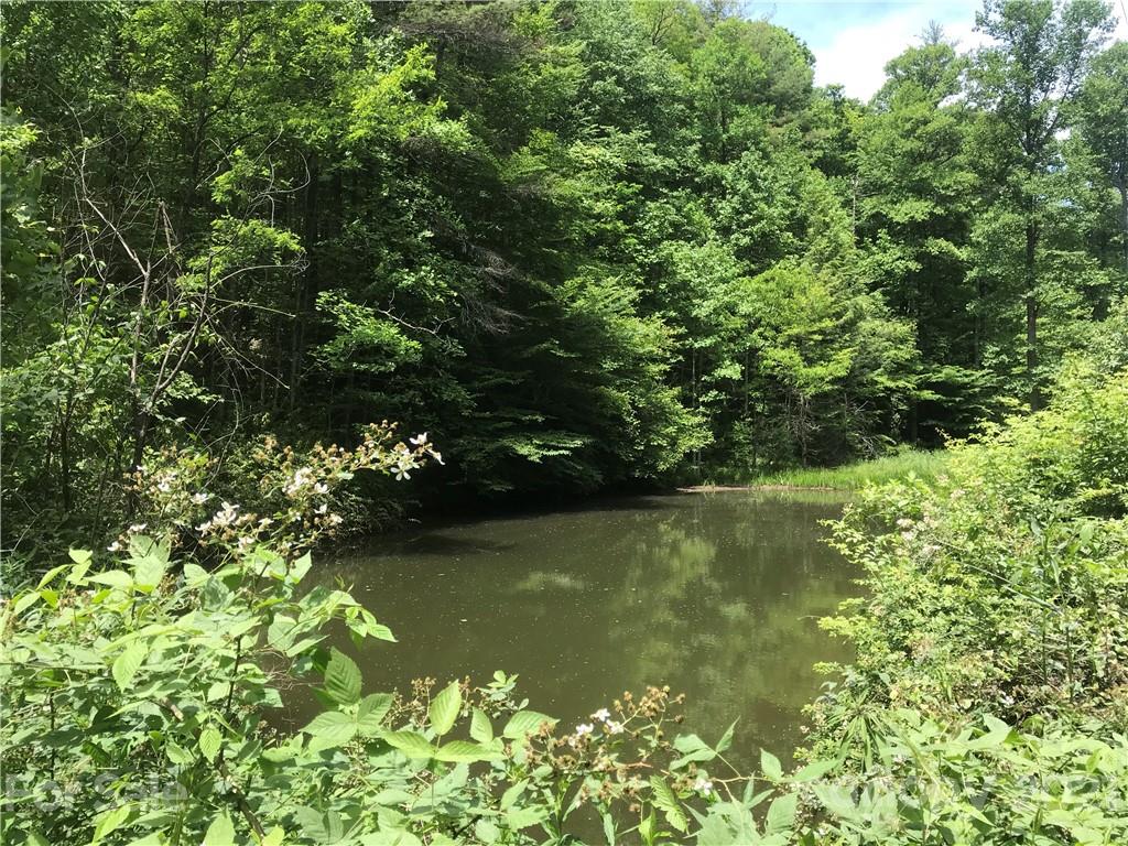 520 Happy Acres Road