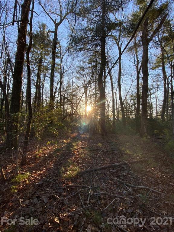 Lot 2a Dogwood Circle