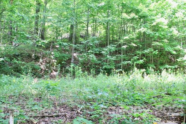 Property image 1 at 402 Loveland Drive, Maggie Valley, NC 28751