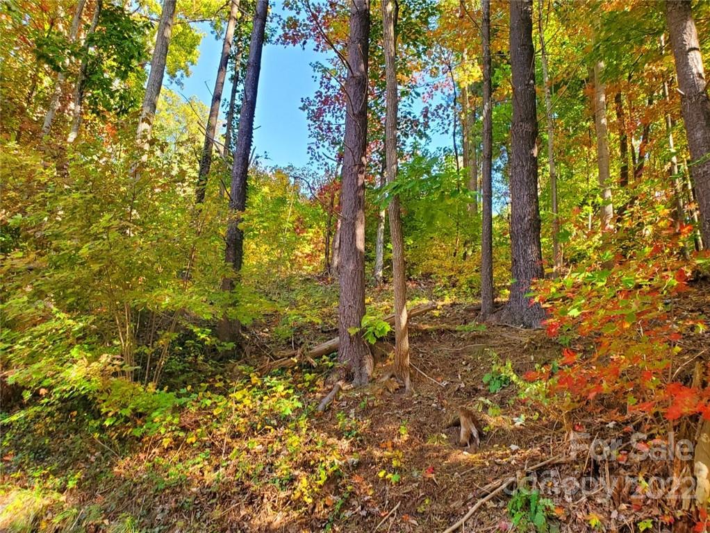 Property image 1 at 99999 Sunset Summit, Asheville, NC 28804