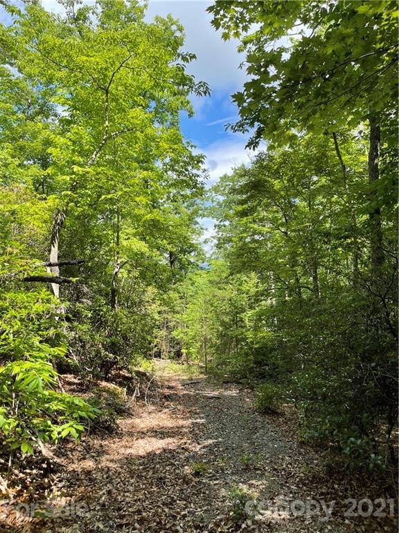 Property image 1 at 0 Western Meander Road, Union Mills, NC 28167