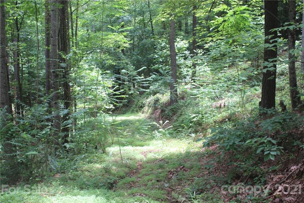 Property at 2202 Island View Lane, Connelly Springs, NC 28612