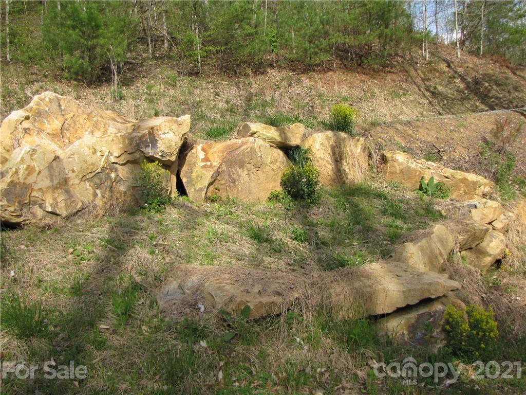 Property image 1 at 206 Maddie Way, Mars Hill, NC 28754