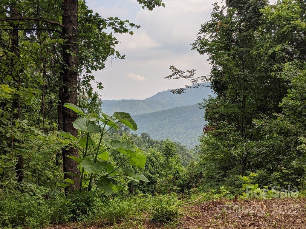 Property image 1 at T 62 501 Warbler Lane, Black Mountain, NC 28711