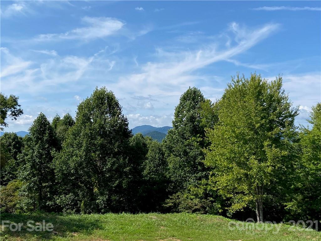 Property image 1 at 255 Clearview Lane, Marshall, NC 28753