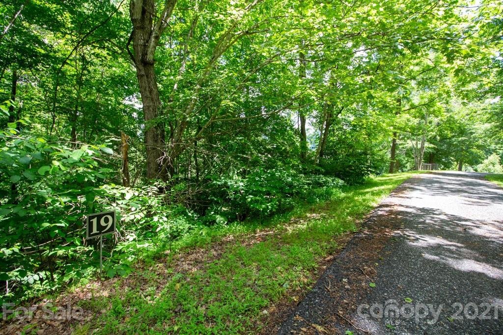 Property image 1 at 99999 Buena Vista Drive, Barnardsville, NC 28709