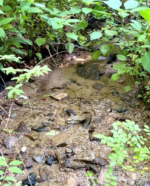 Property image 1 at 9999 Sovereign Lane, Fairview, NC 28730