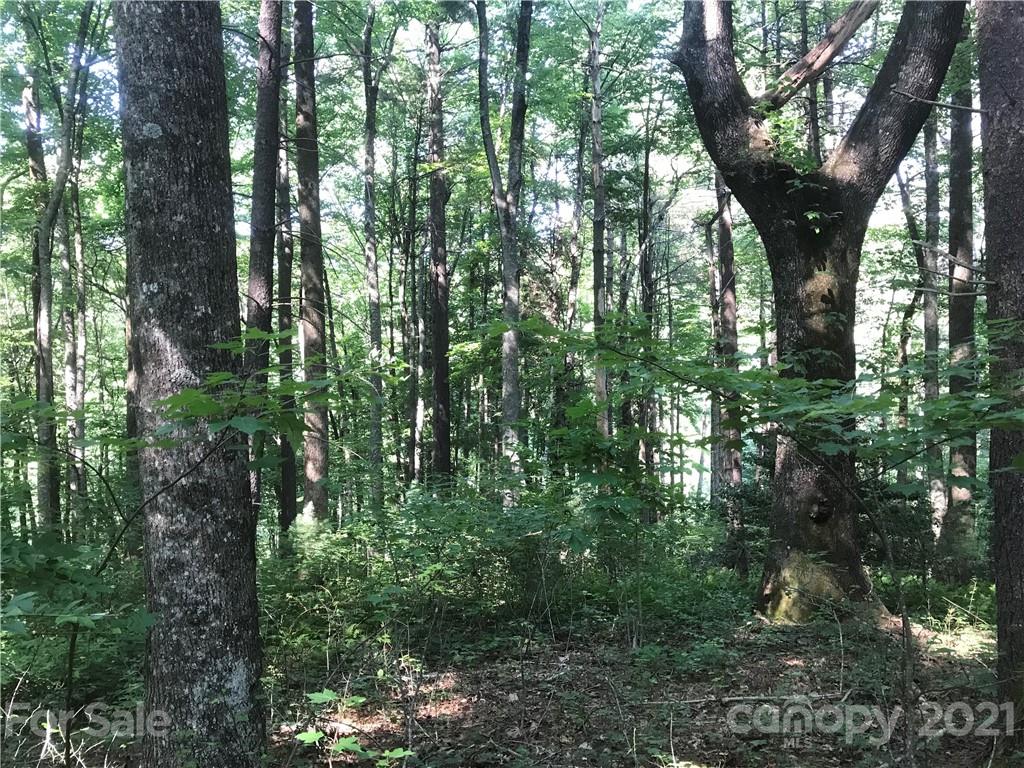 Property image 1 at Tbd Severly Lane, Brevard, NC 28712